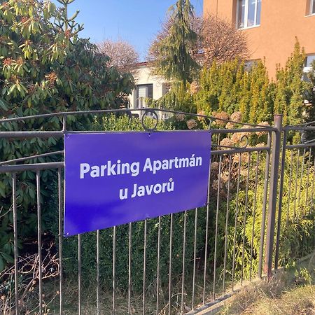Apartman U Javoru Varnsdorf Εξωτερικό φωτογραφία
