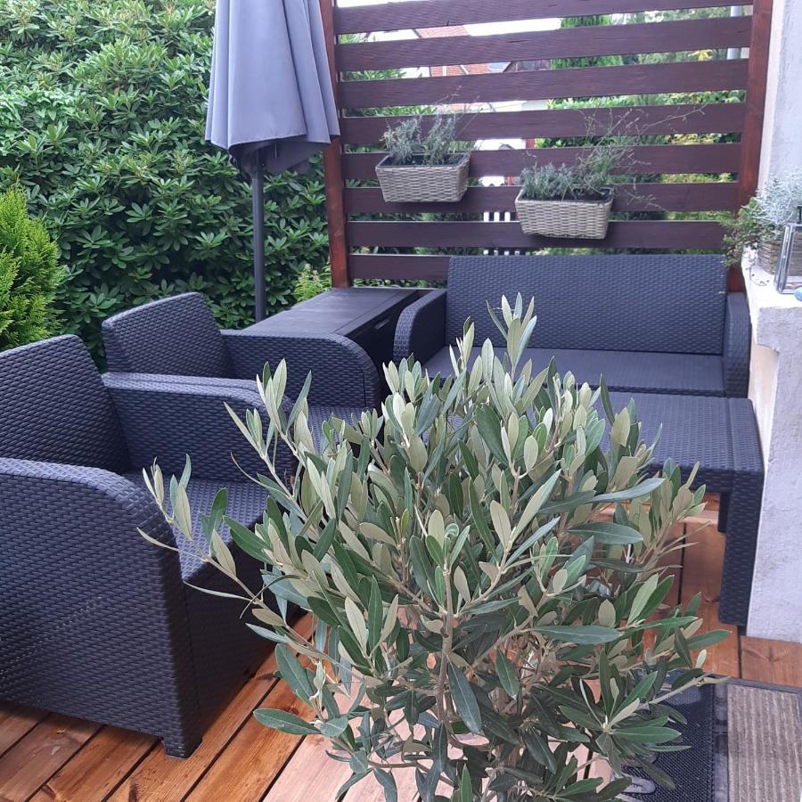 Apartman U Javoru Varnsdorf Εξωτερικό φωτογραφία