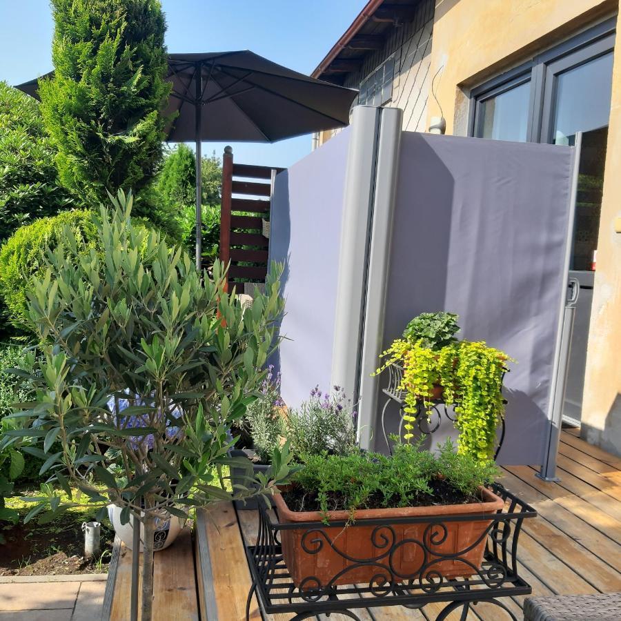 Apartman U Javoru Varnsdorf Εξωτερικό φωτογραφία