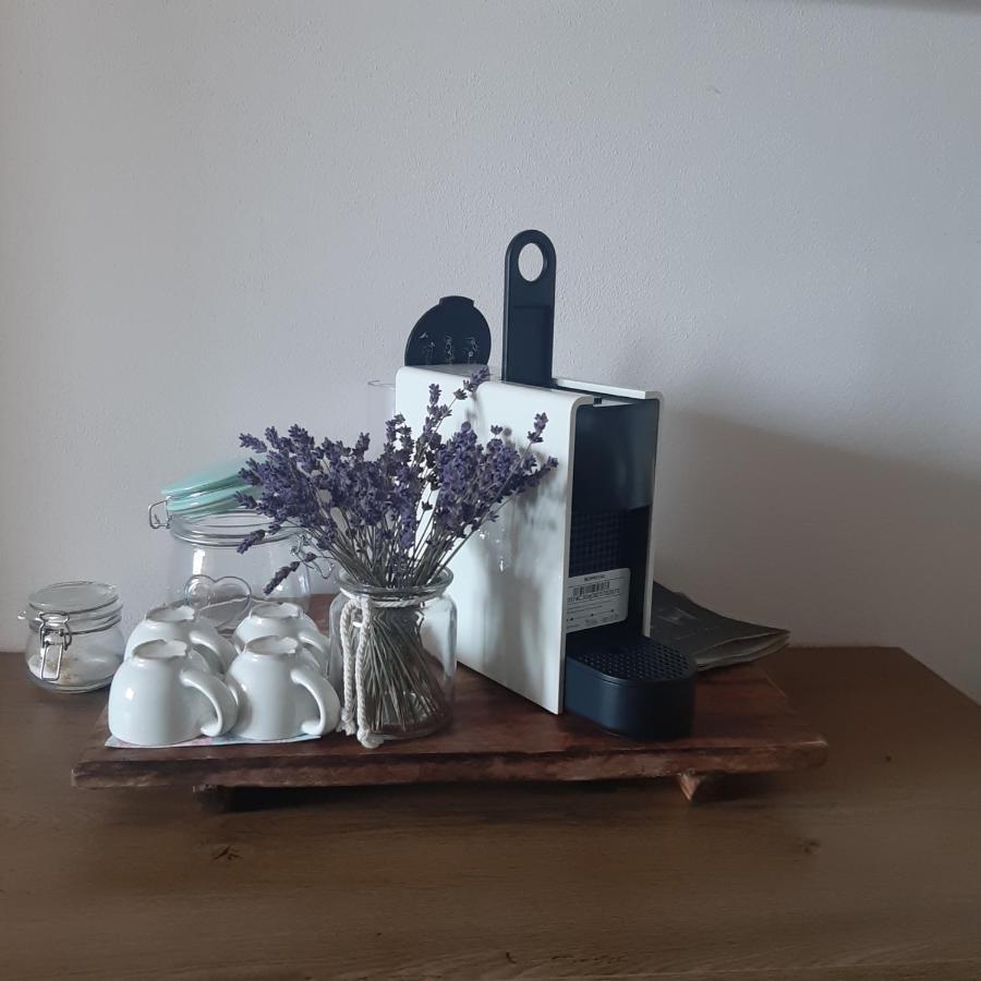 Apartman U Javoru Varnsdorf Εξωτερικό φωτογραφία
