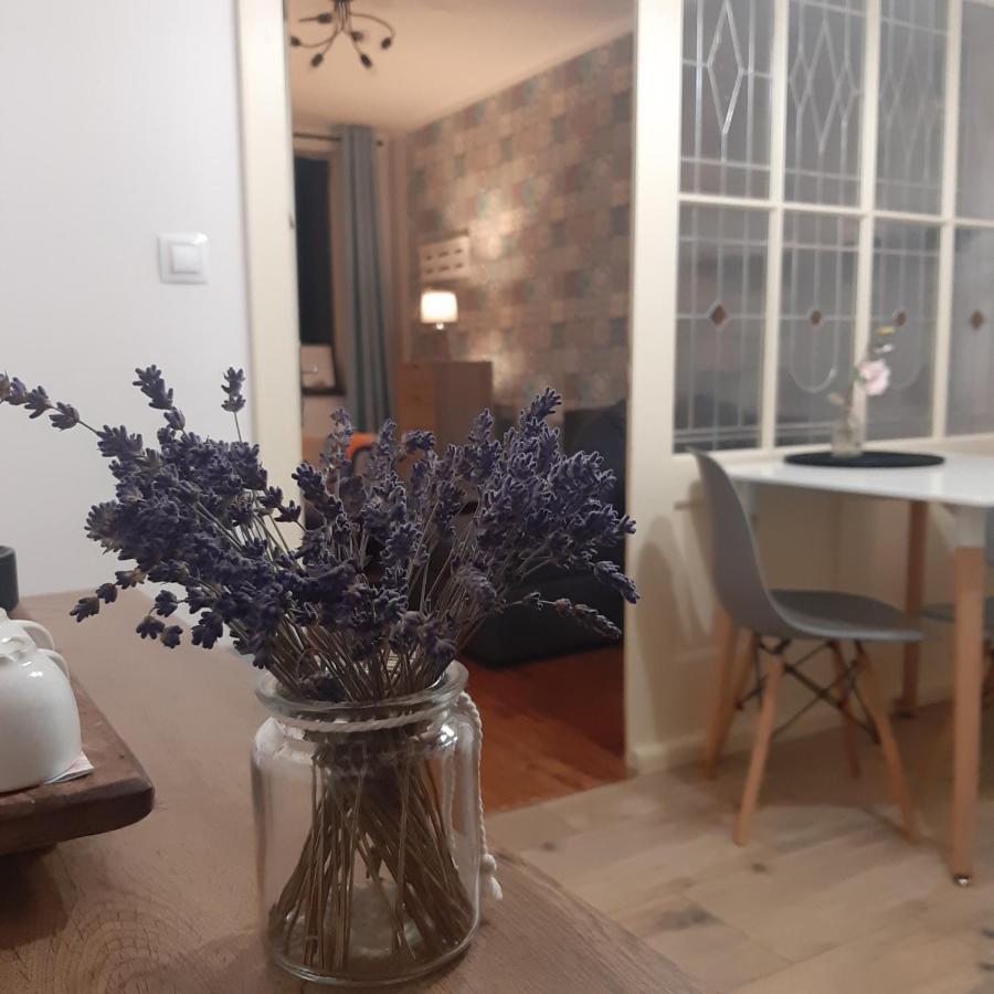 Apartman U Javoru Varnsdorf Εξωτερικό φωτογραφία
